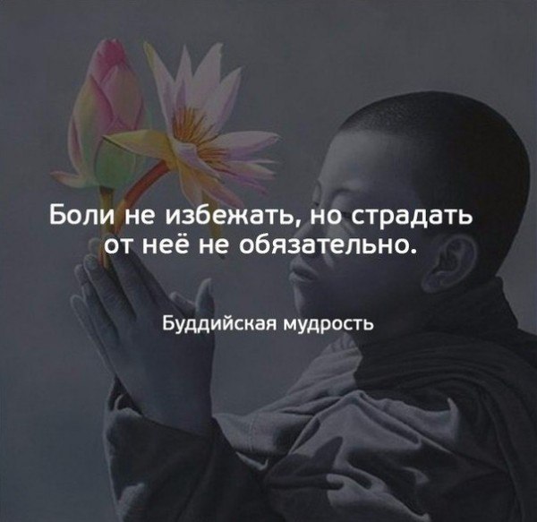 BEST | , ,  - 13  2018  02:44