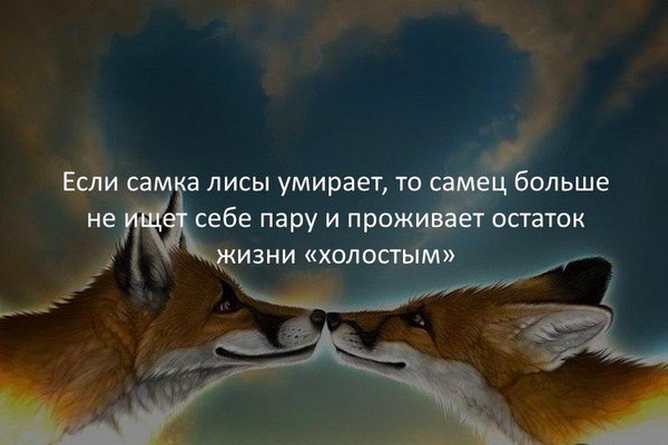 ��������� - 5 ����� 2018 � 18:51 - 111