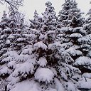 ���� �������, ������� - ��������� 28 ������ 2017 � ������ ��������