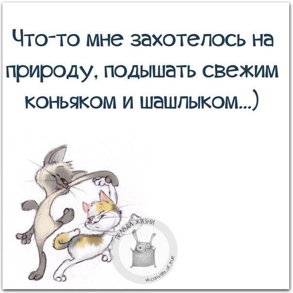  - 5  2018  06:13