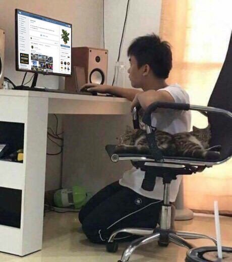      ,    ....