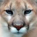 ���� �etelgeuse &alpha; Ori, �����, 48 ��� - ��������� 1 ��� 2018 � ������ ���� ����������