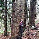 ���� �������, ����, 67 ��� - ��������� 7 ������ 2018 � ������ ���� ����������