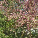 ���� Oleg, ������� ����, 78 ��� - ��������� 20 ������ 2018 � ������ ������ ��� ����!�