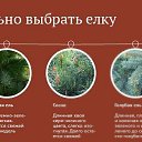 ���� �������, ������-��-����, 53 ���� - ��������� 1 ������ 2018 � ������ ������ ��������