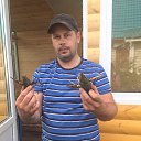 ���� �������, ������� - ��������� 19 ���� 2018 � ������ ���� ����������