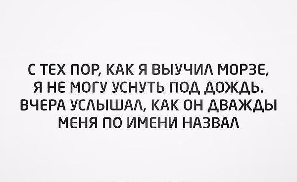 Отец 16-ти детей ищет ту скотину, которая на свадьбе желала детей, как звёзд на небе :D - 5