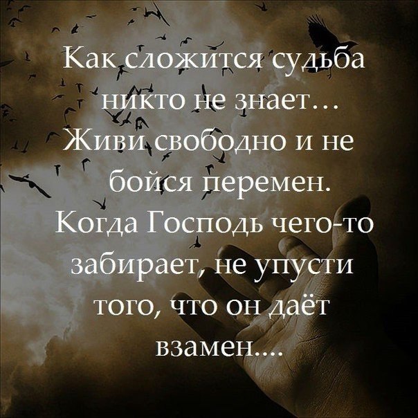    - 7  2018  03:49