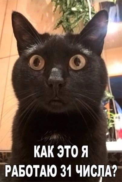 ***Victoria Viktorovna*** - 21  2017  06:01