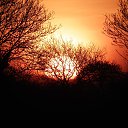 ���� Medine, ����� - ��������� 8 ������ 2018