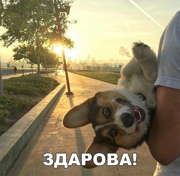  - 24  2018  14:38