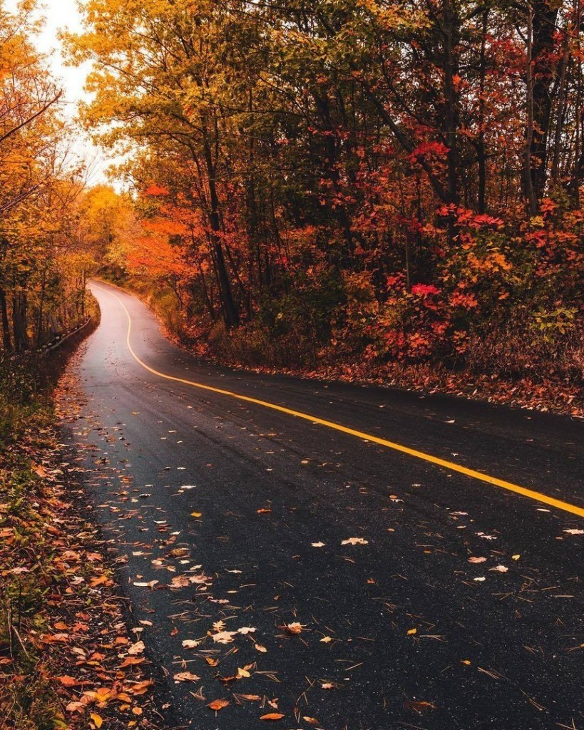 Ontario, Canada - 5