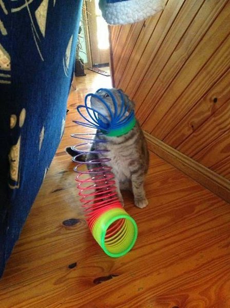 ���� � ��� ���� ���, ������ � ���� ��� ��� �������������: - 2