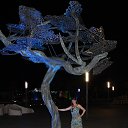 ���� ��������, �����-���������, 59 ��� - ��������� 7 ����� 2018