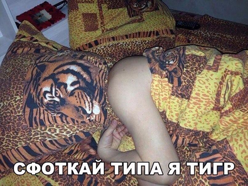    :D - 8  2018  03:33