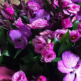 ������, ������, 37 ���