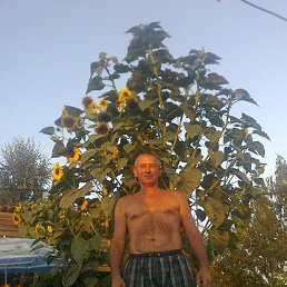 ��������, ������, 59 ���