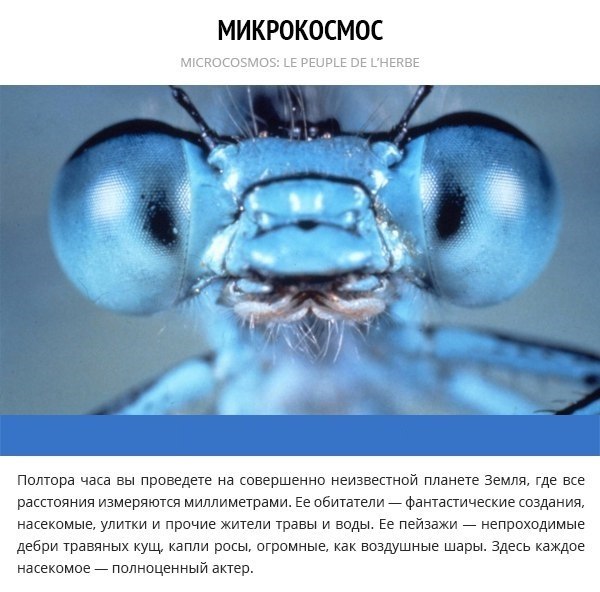 10 научно-популярных фильмов, которые помогут лучше понять устройство нашей планеты. - 2
