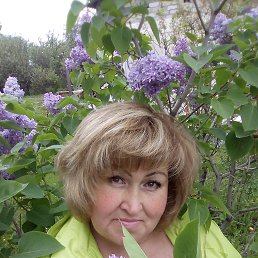 ���� �����, ���������, 53 ���� - ��������� 16 ���� 2018