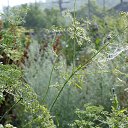 ���� ����, �������, 56 ��� - ��������� 7 ���� 2018 � ������ ���� ����������