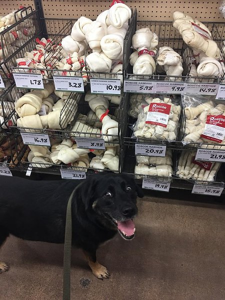      ? ? ? ?