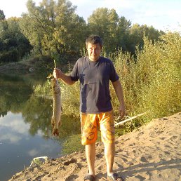 ������, ������, 40 ���