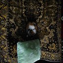 ���� �����, �������, 24 ���� - ��������� 17 ������� 2017