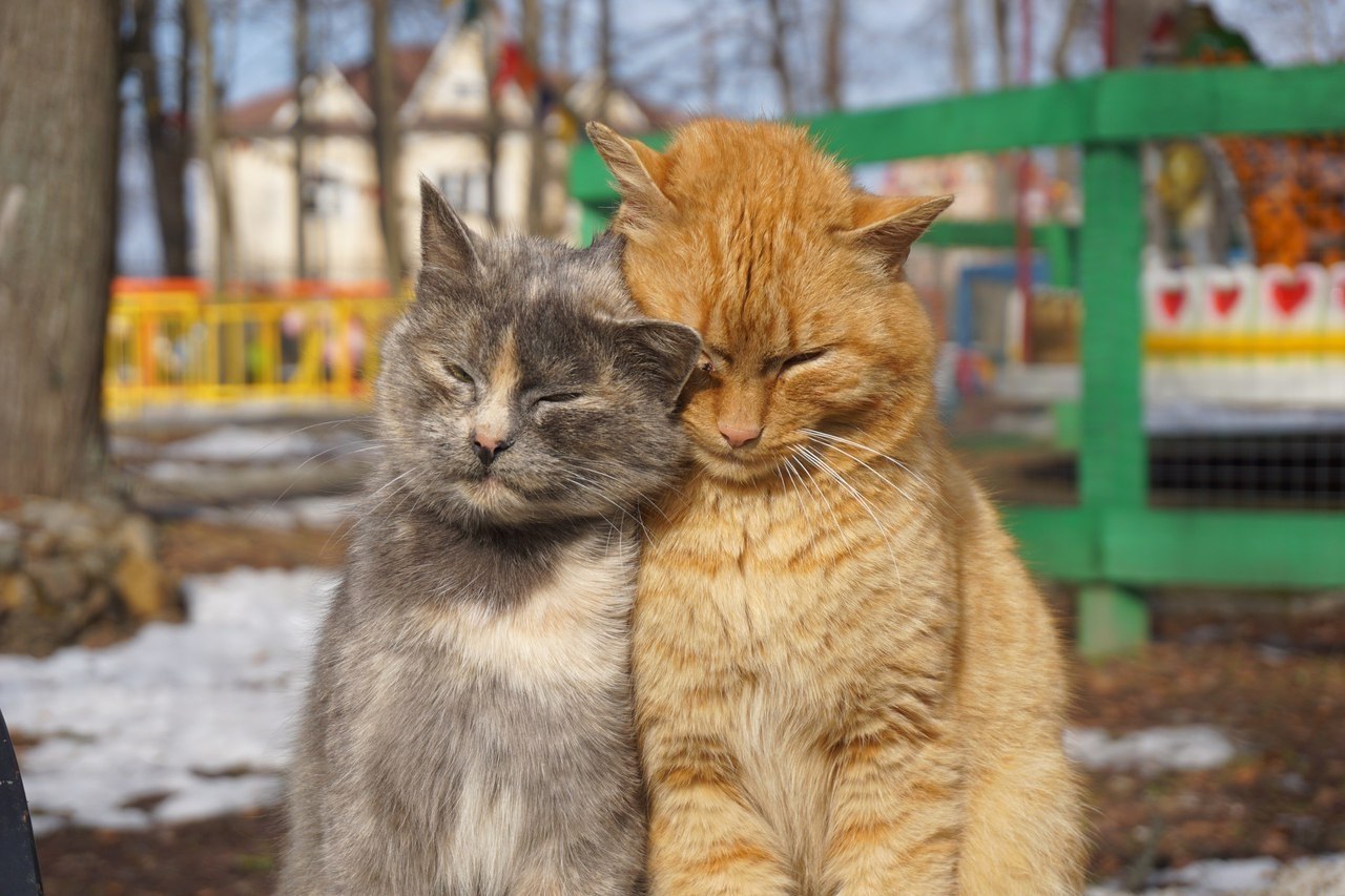  :3