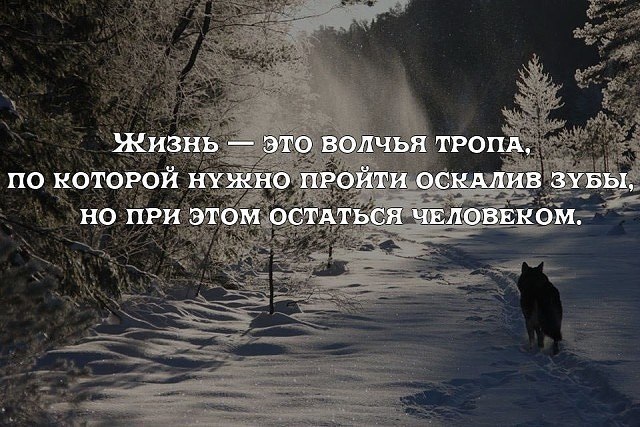   - 12  2018  03:06