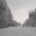 ���� ����, ����, 51 ��� - ��������� 13 ������ 2018 � ������ ��������� ����