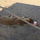  , -, 42  -  30  2018   , 2018 ()