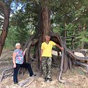 ���� ������, �����������, 73 ���� - ��������� 29 ������� 2017