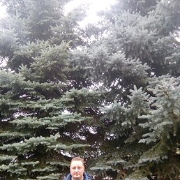 Maksim, ������, 46 ���