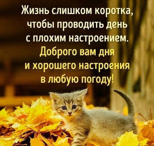 GUZLI.RU - ������� ��������� - 9 ����� 2018 � 01:45
