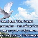 ���� Mara, �����, 58 ��� - ��������� 14 ������ 2018 � ������ ���� ����������