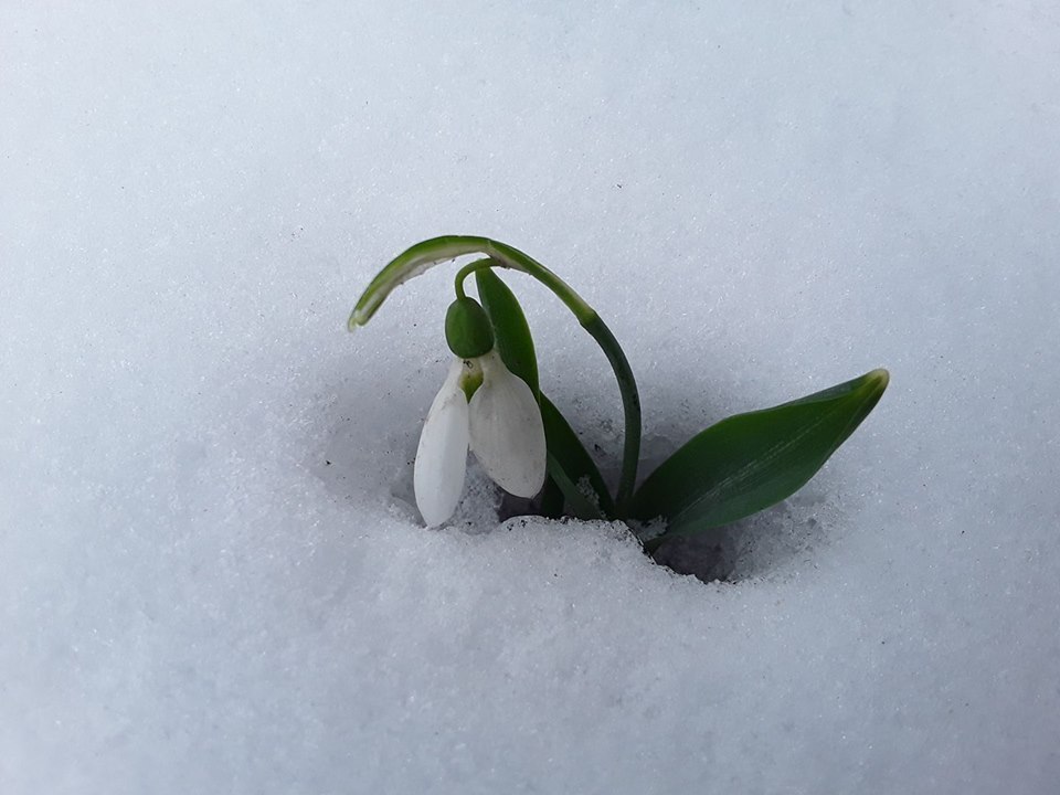   ,       .     .   ...