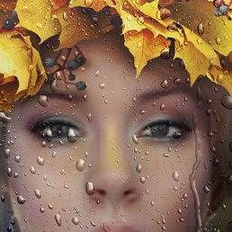 ���, �����, 48 ���