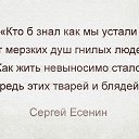 ���� �������, ������� - ��������� 28 ������� 2017 � ������ ������ ��������