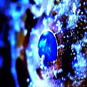  ,  -  13  2017        »