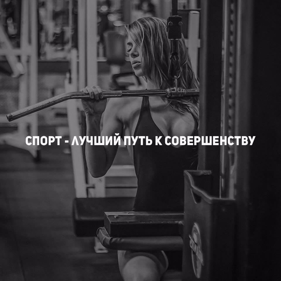     - 11  2017  08:04