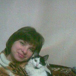 �����, ������, 53 ����