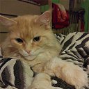 ���� Julka Cat@, ����, 26 ��� - ��������� 21 ������ 2018 � ������ ���� ����������