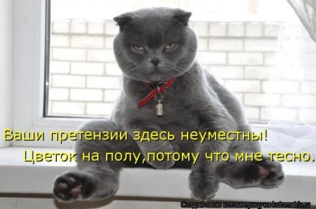 � ����� �����! - 25 ������� 2017 � 10:30