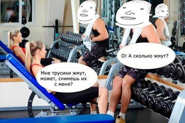 SportFeed - 11  2018  03:02