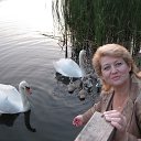 ���� �������, �������-����������, 53 ���� - ��������� 21 ������ 2018 � ������ ���� ����������