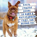���� �������, ������� - ��������� 31 ������� 2017 � ������ ���� ����������