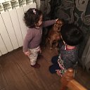  Nato, , 66  -  29  2018   lilu