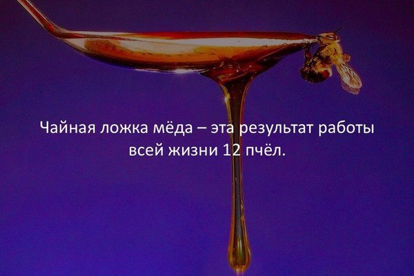 ��������� - 5 ����� 2018 � 18:51 - 110