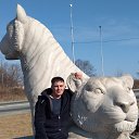 ���� ����, �������, 42 ���� - ��������� 20 ��� 2018 � ������ ���� ����������