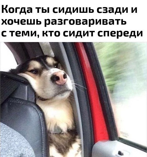   - 6  2018  03:53